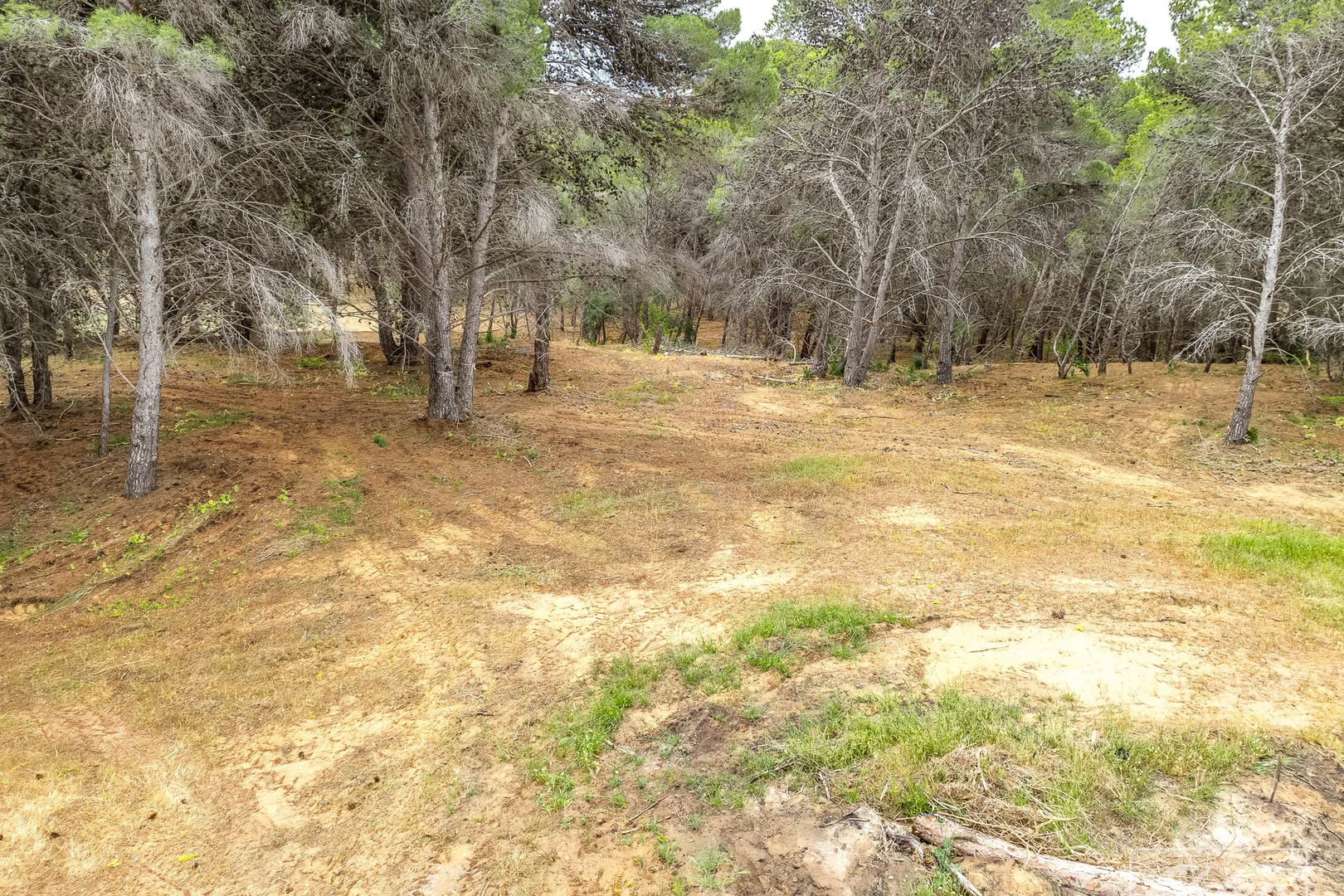 Additional image 6 of Lot 20&22 Randell Road, Hindmarsh Island SA 5214