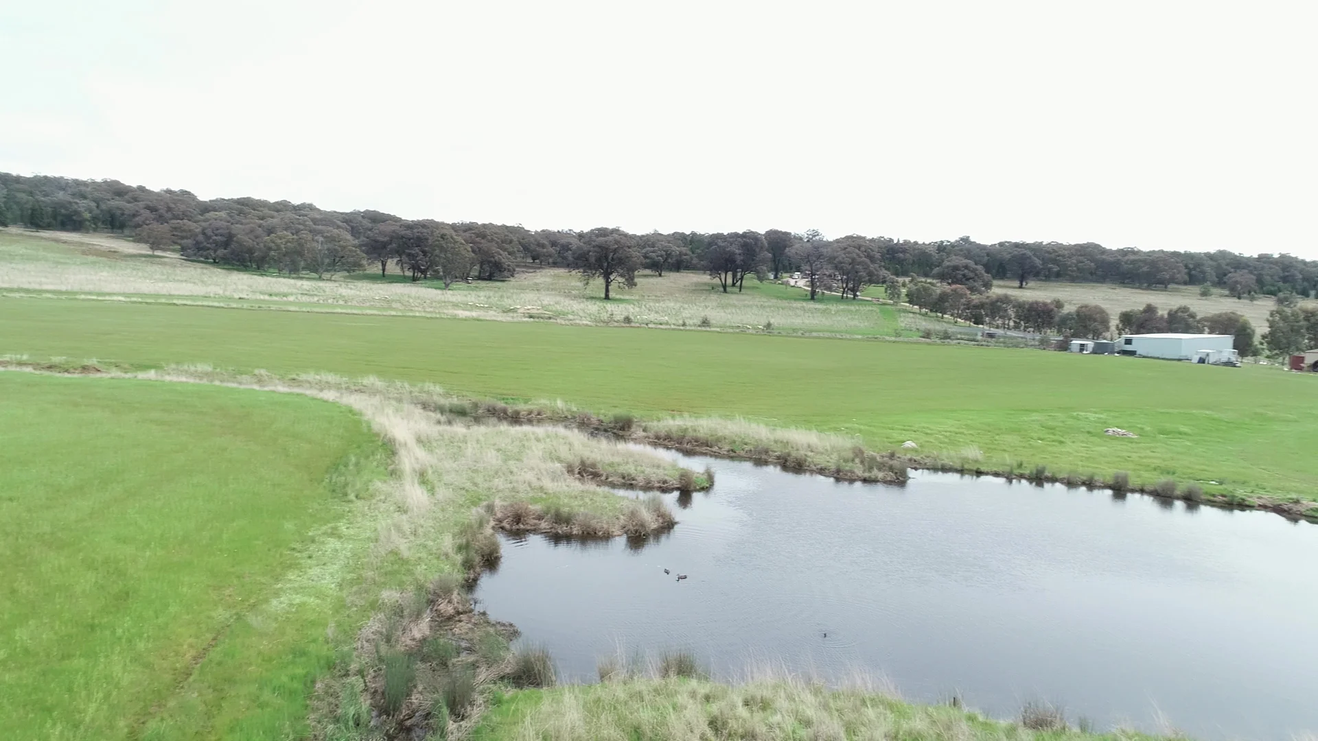 Additional image 5 of 823 Peabody Road, Molong NSW 2866