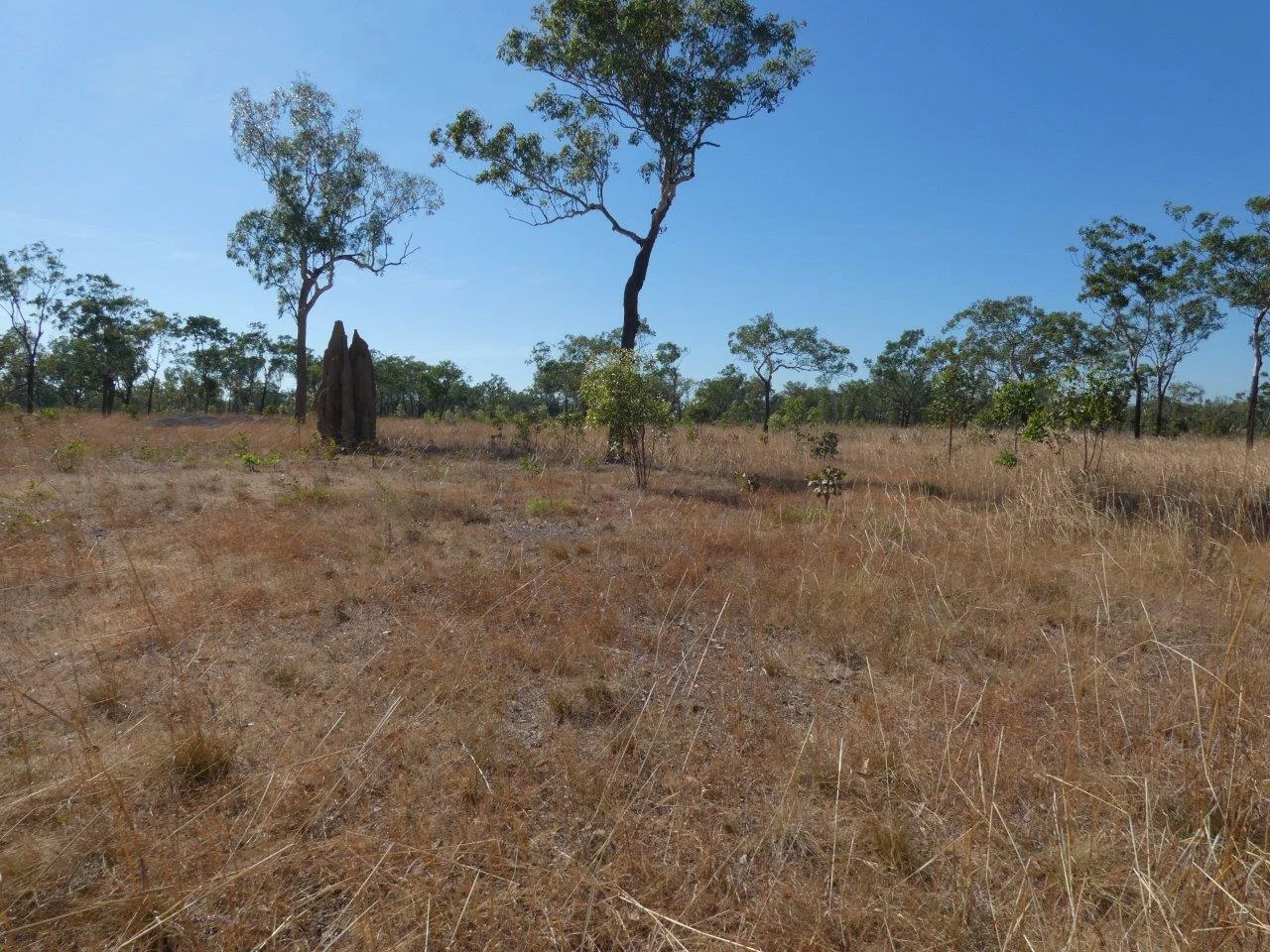 Additional image 27 of Acacia Hills NT 0822