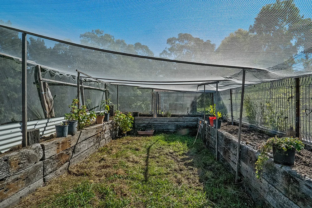 Additional image 22 of 3243 Paterson River Road, Carrabolla NSW 2311