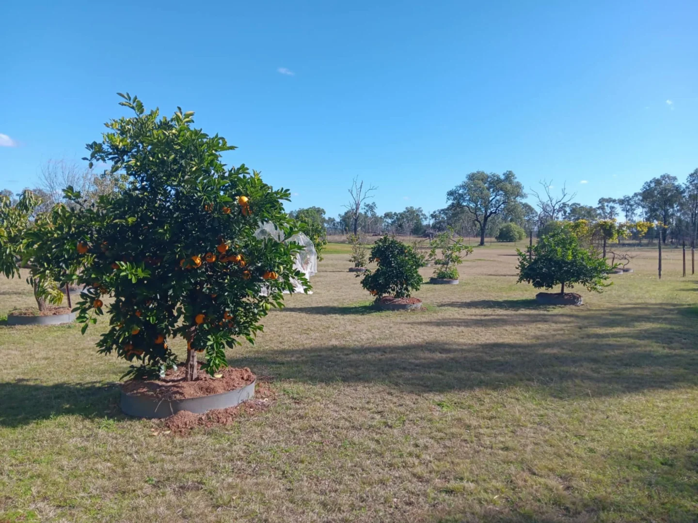 Additional image 26 of 115 Smithfield Mundoey Road, Smithlea QLD 4385