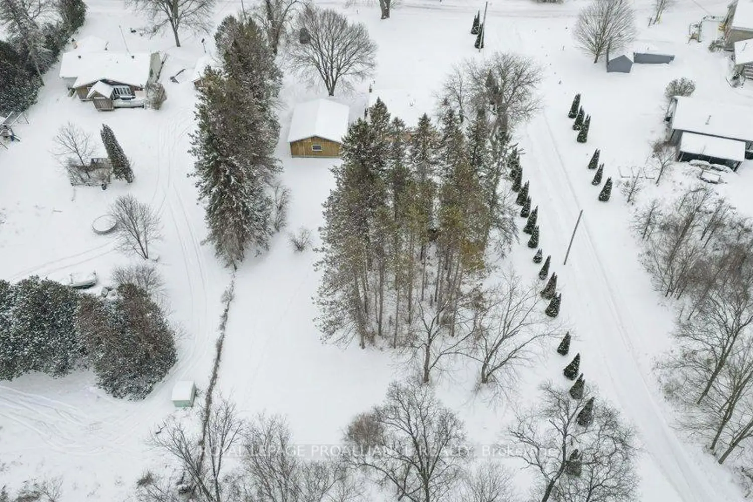 Additional image 19 of 556 Rosebush Road