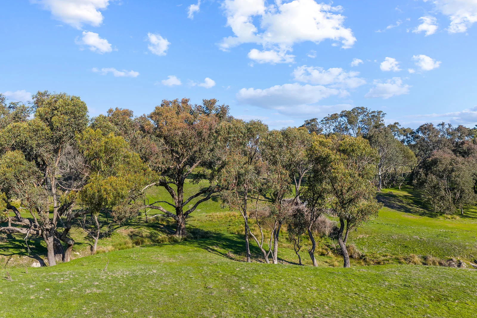 Additional image 26 of 1432 Lachlan Valley Way, Laverstock NSW 2582