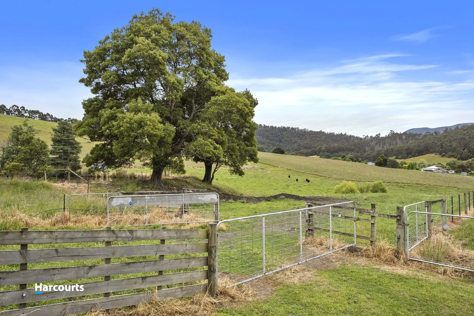 Additional image 7 of 40 Connors Road, Cygnet TAS 7112