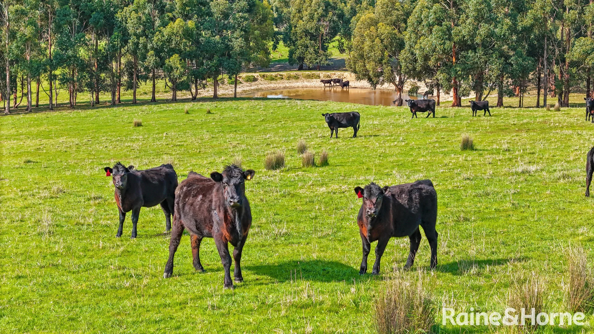 Additional image 34 of 228 Hutchinson Road, Hindmarsh Valley SA 5211