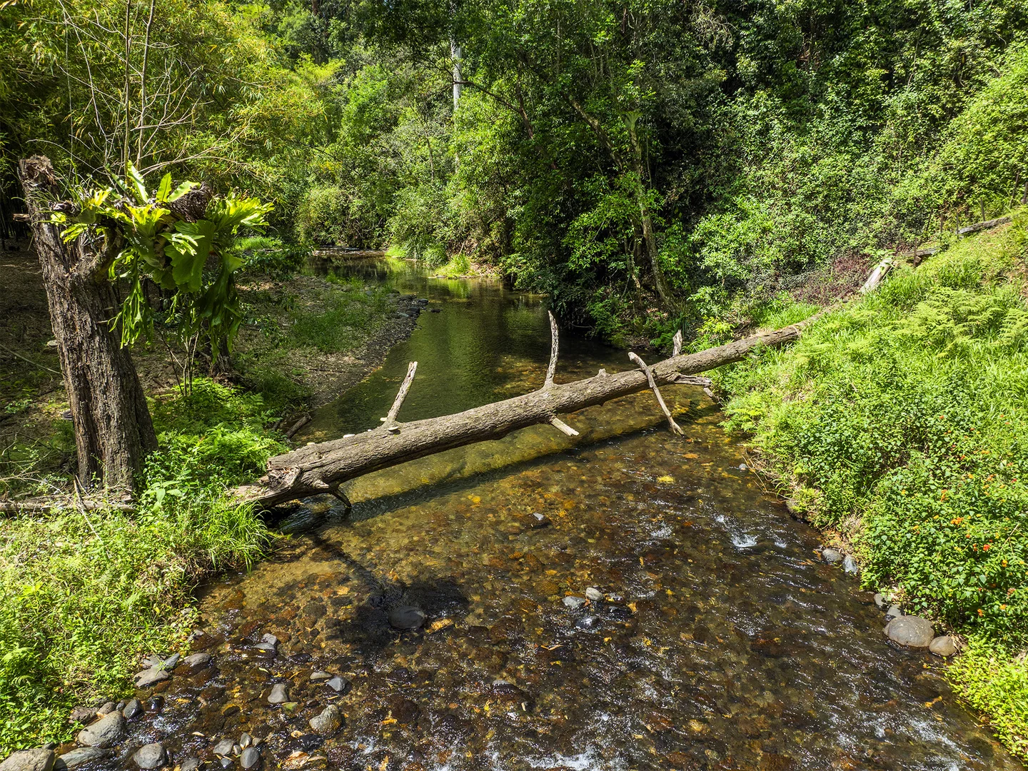 Additional image 23 of 1824 Darkwood Road, Darkwood NSW 2454