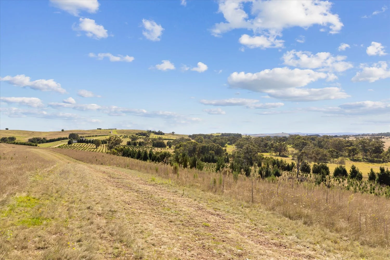 Additional image 28 of 134 Lakeview Road, Tarago NSW 2580