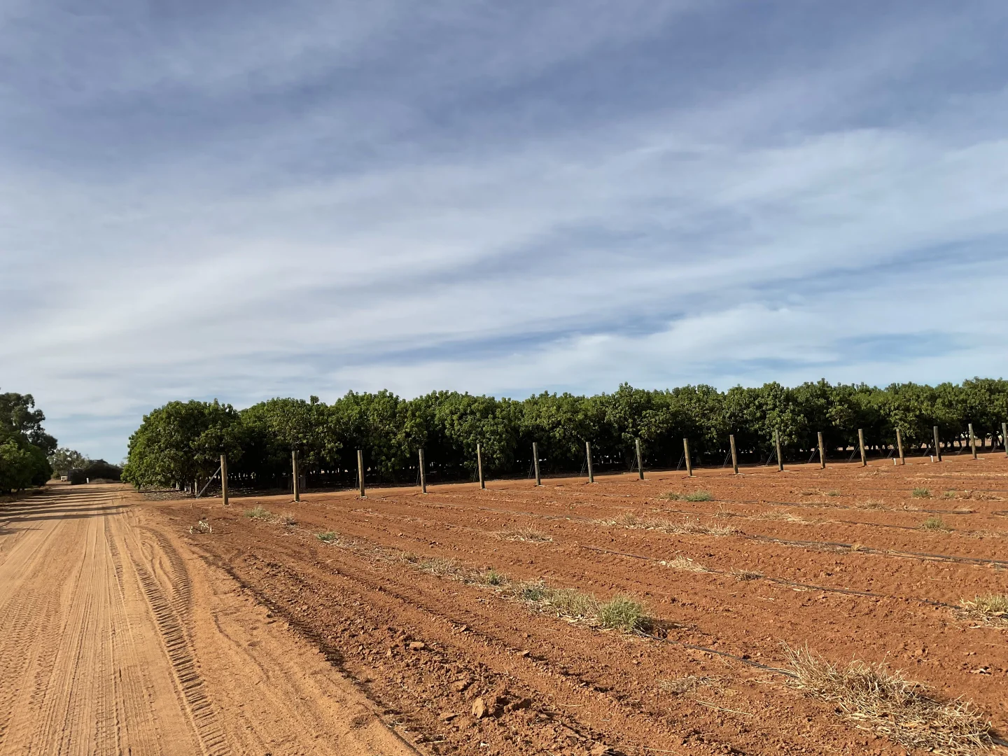 Additional image 2 of 137 North River Road, North Plantations WA 6701