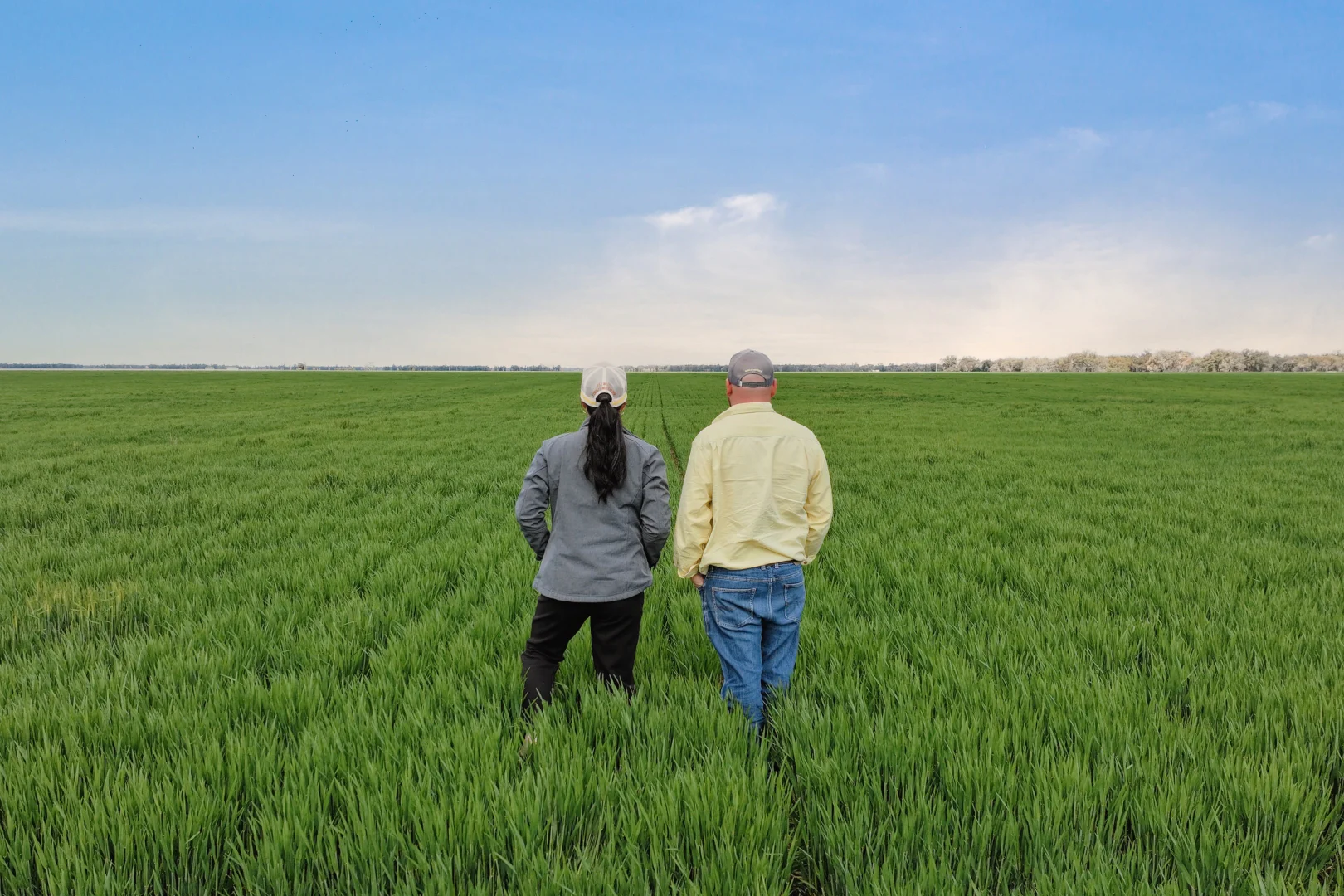 Additional image 2 of 'Williams Crossing' 139 Harris Lane, Quandialla NSW 2721