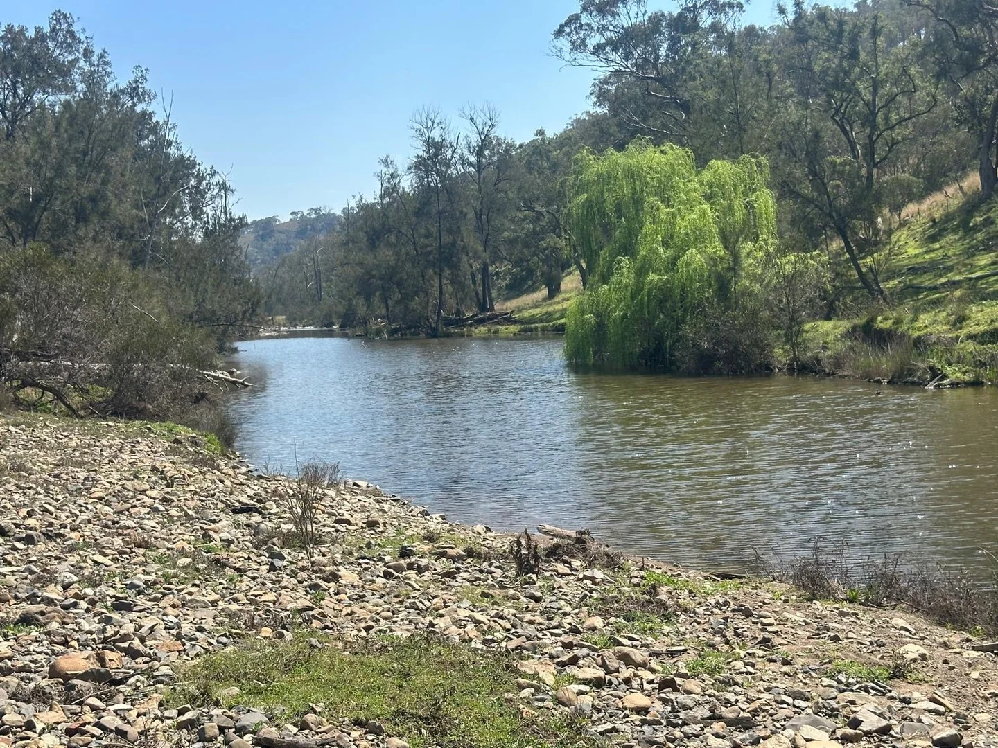 "Coolendoon" 810 The Pocket Road, Bukkulla NSW 2360