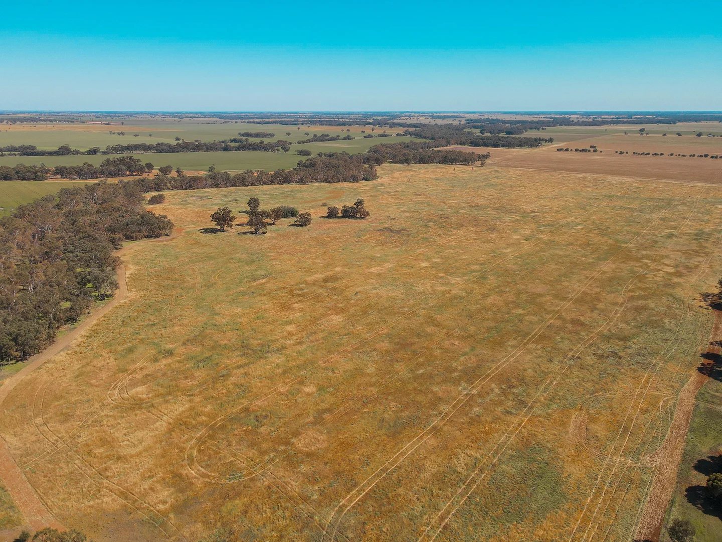 Additional image 9 of Teddywaddy VIC 3527