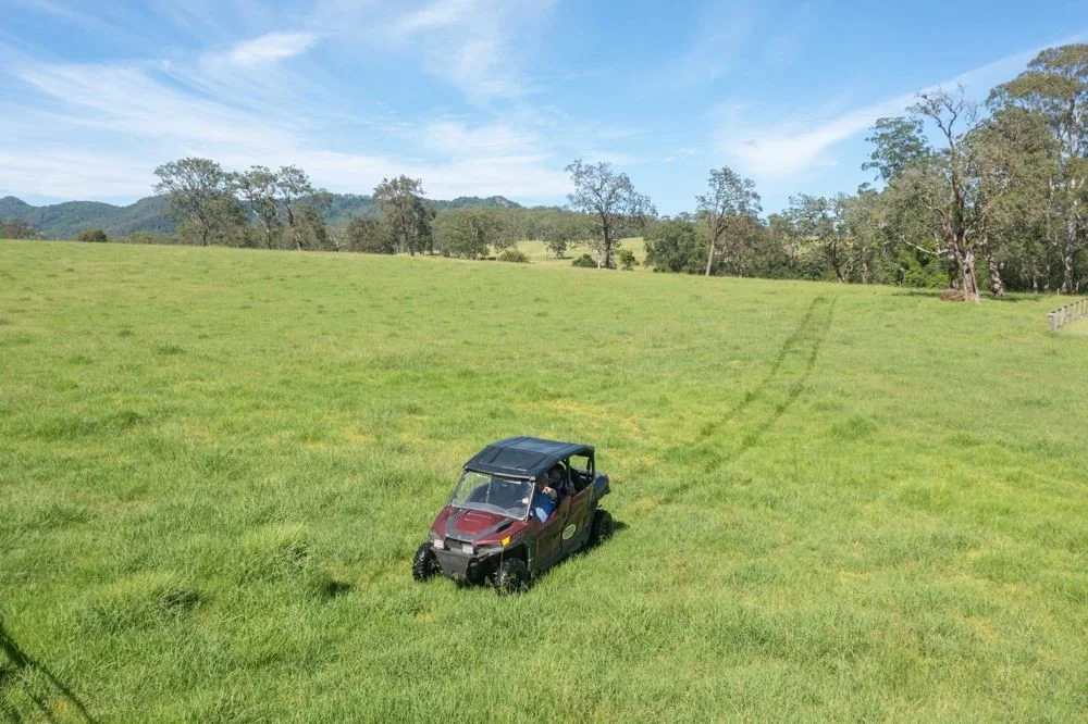 Additional image 10 of 176 McMillans Road, Ellenborough NSW 2446