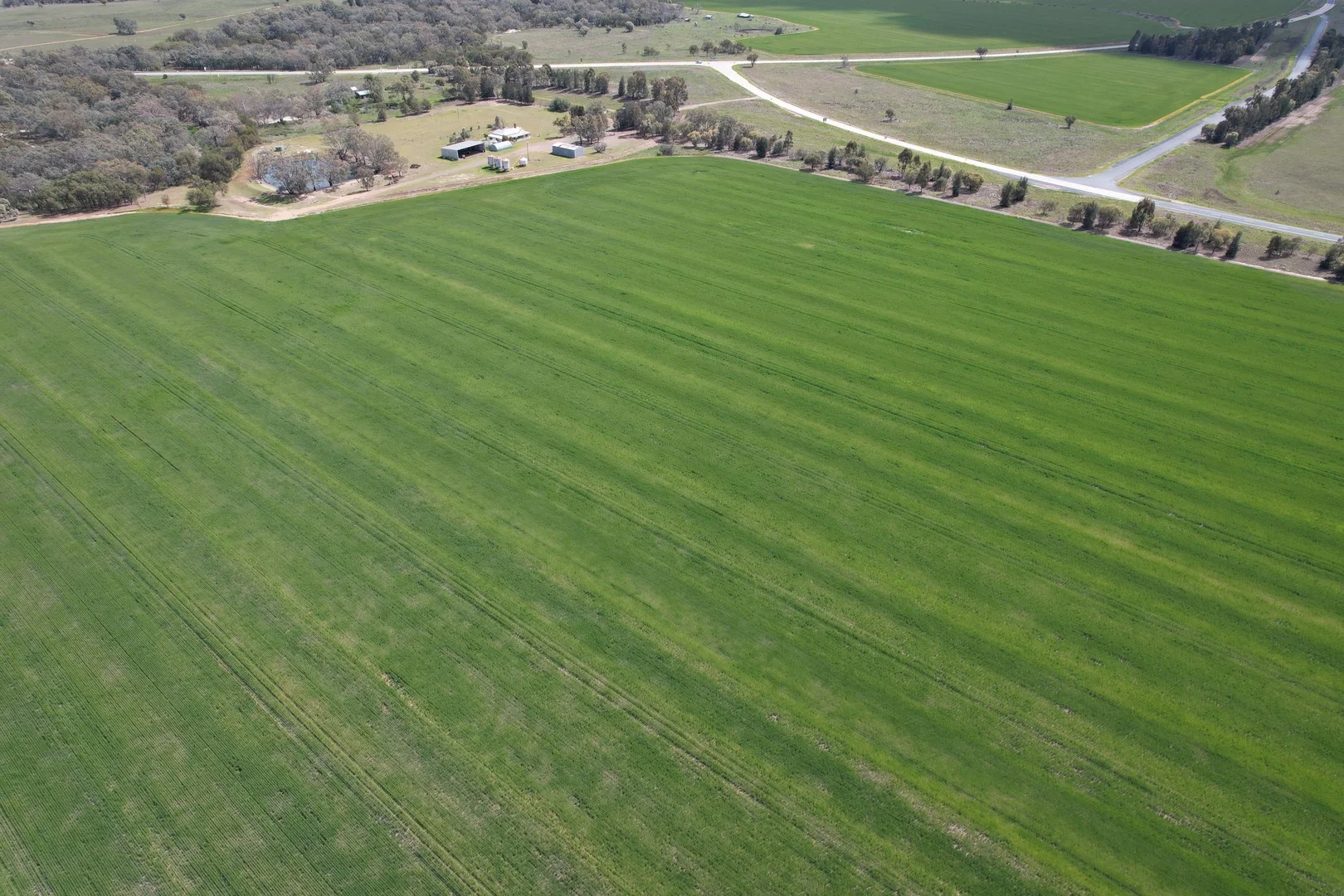 6689 Mid Western Highway, Caragabal NSW 2810