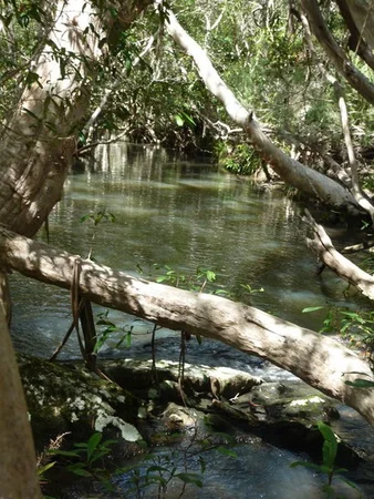 Additional image 6 of Lot 123 Two Chain Road, Koah QLD 4881