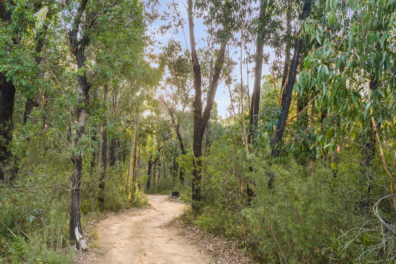 Additional image 5 of 161 Teudts Road, Bundanoon NSW 2578