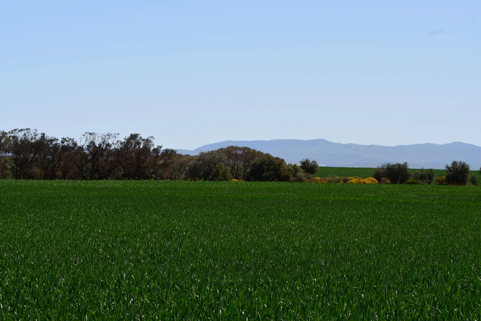 Additional image 6 of 26 Amyton Road, Willowie SA 5431