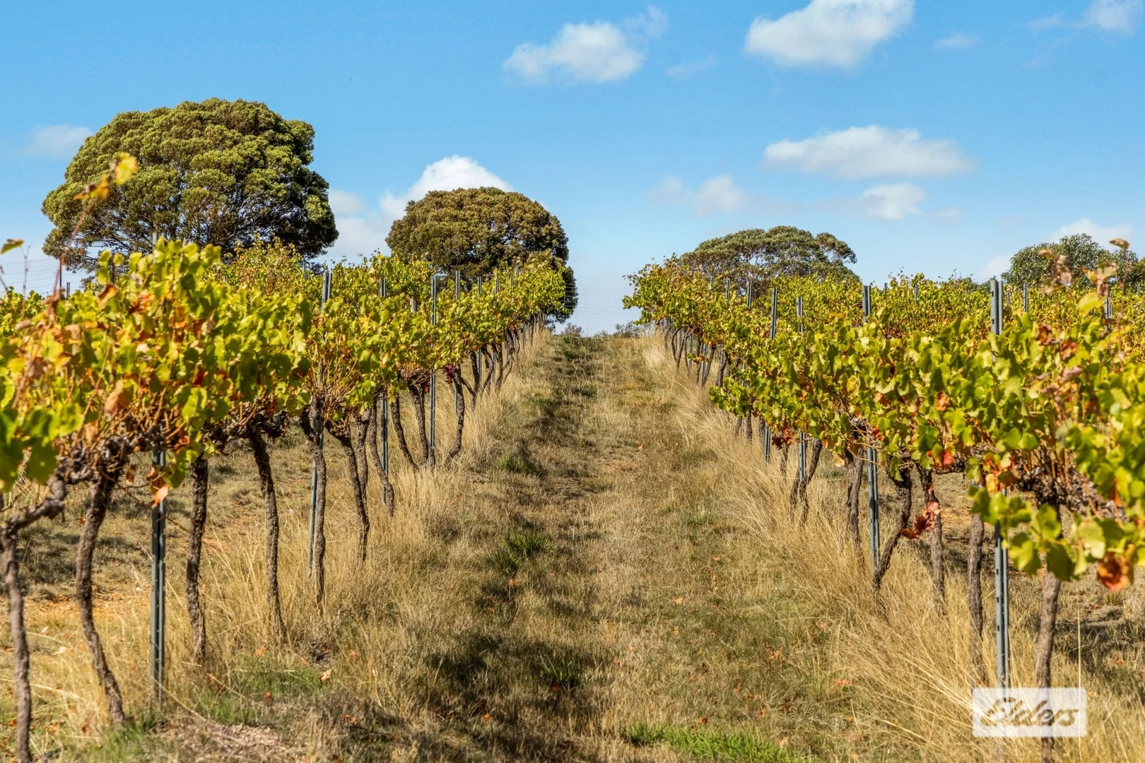 Additional image 41 of 114 Degraves Road, Crowlands VIC 3377