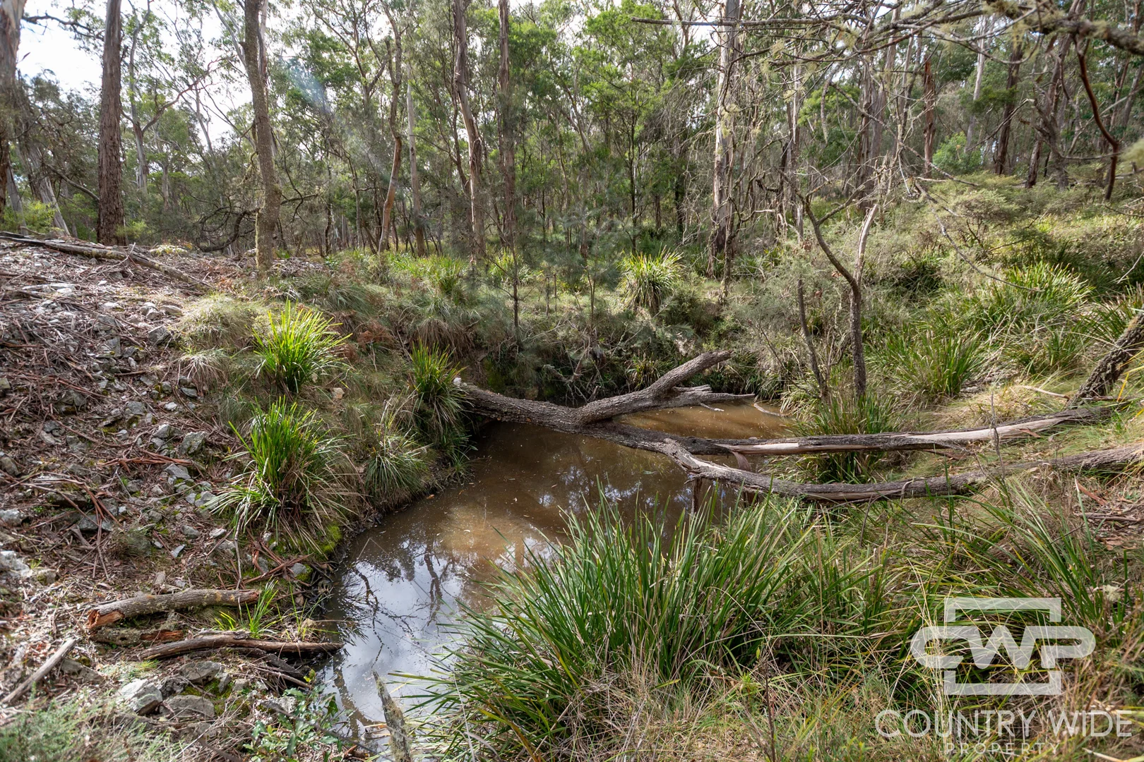 Additional image 4 of 10 Tablelands Road, Red Range NSW 2370