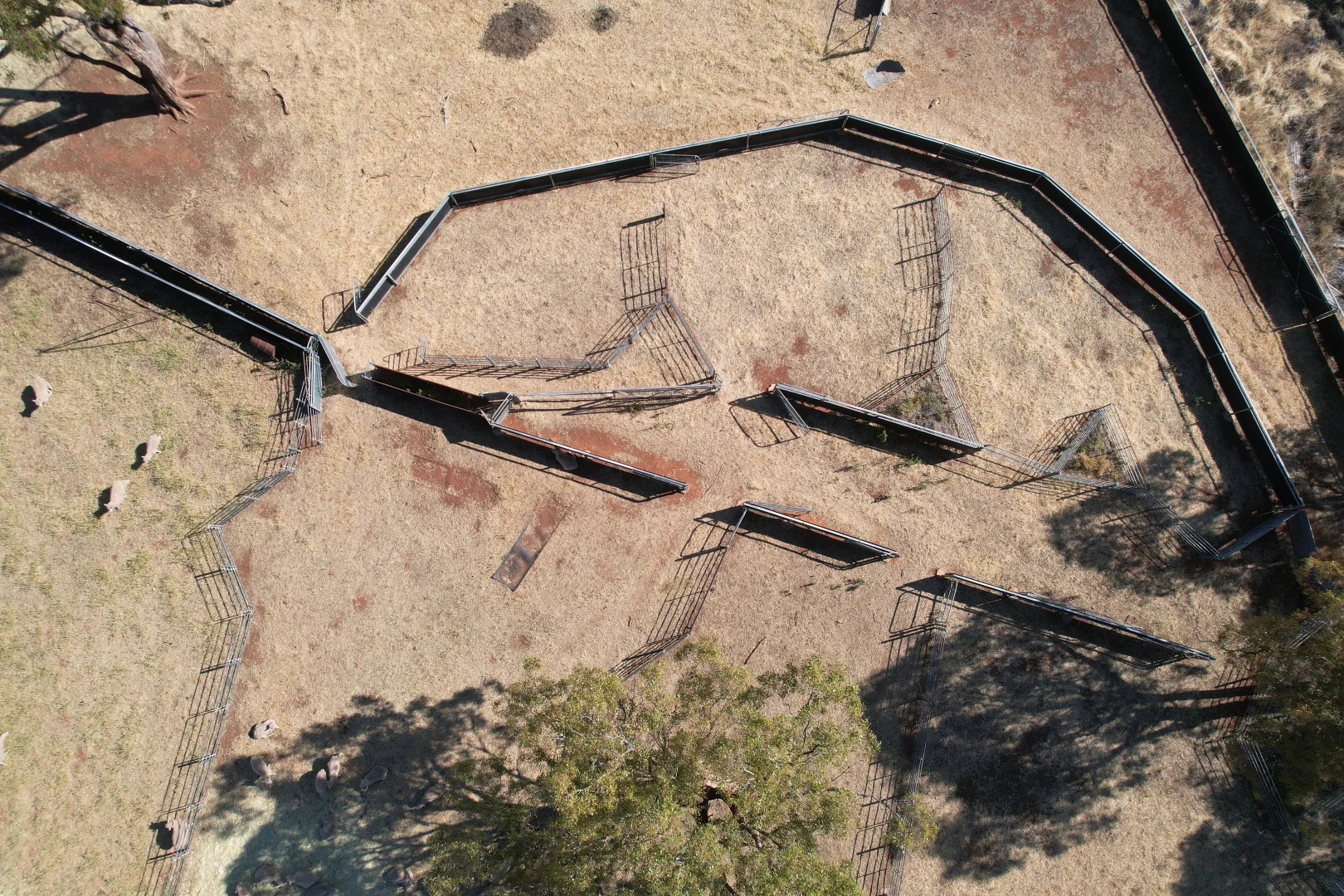 Additional image 6 of 'Boree Glen' 456 Whymarks Lane, Tullibigeal NSW 2669