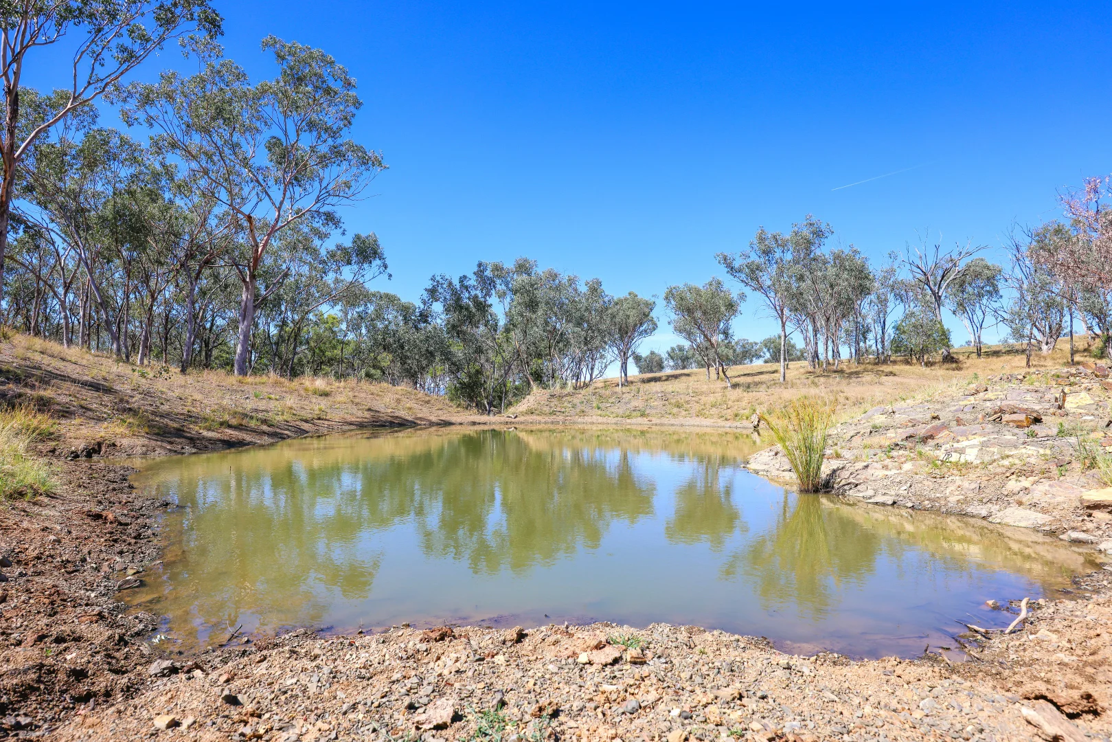 Additional image 10 of 1193 Marsden Park Road, Tamworth NSW 2340