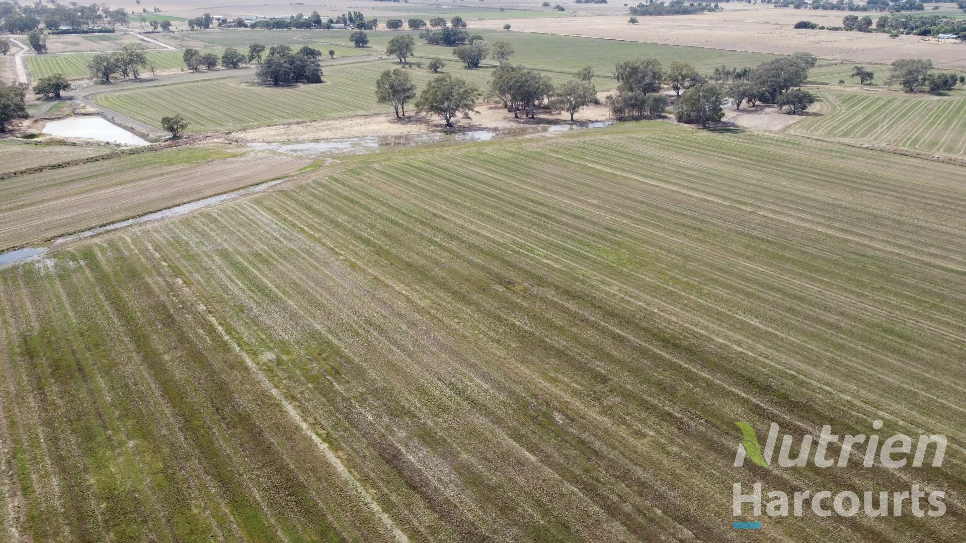 Additional image 9 of . Echuca Nanneella Road, Nanneella VIC 3561