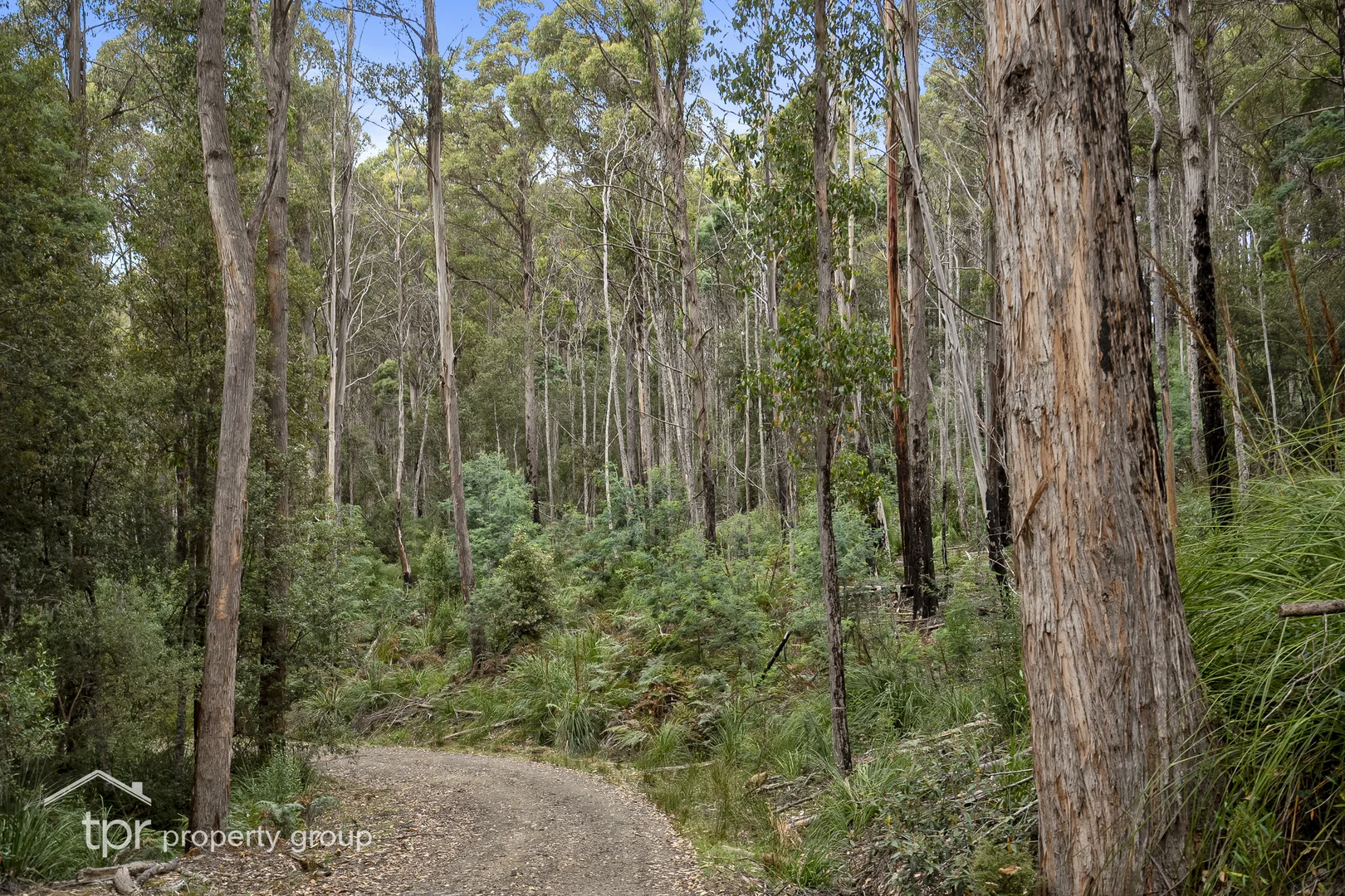 Additional image 7 of Lot 2 Kermandie River Road, Geeveston TAS 7116