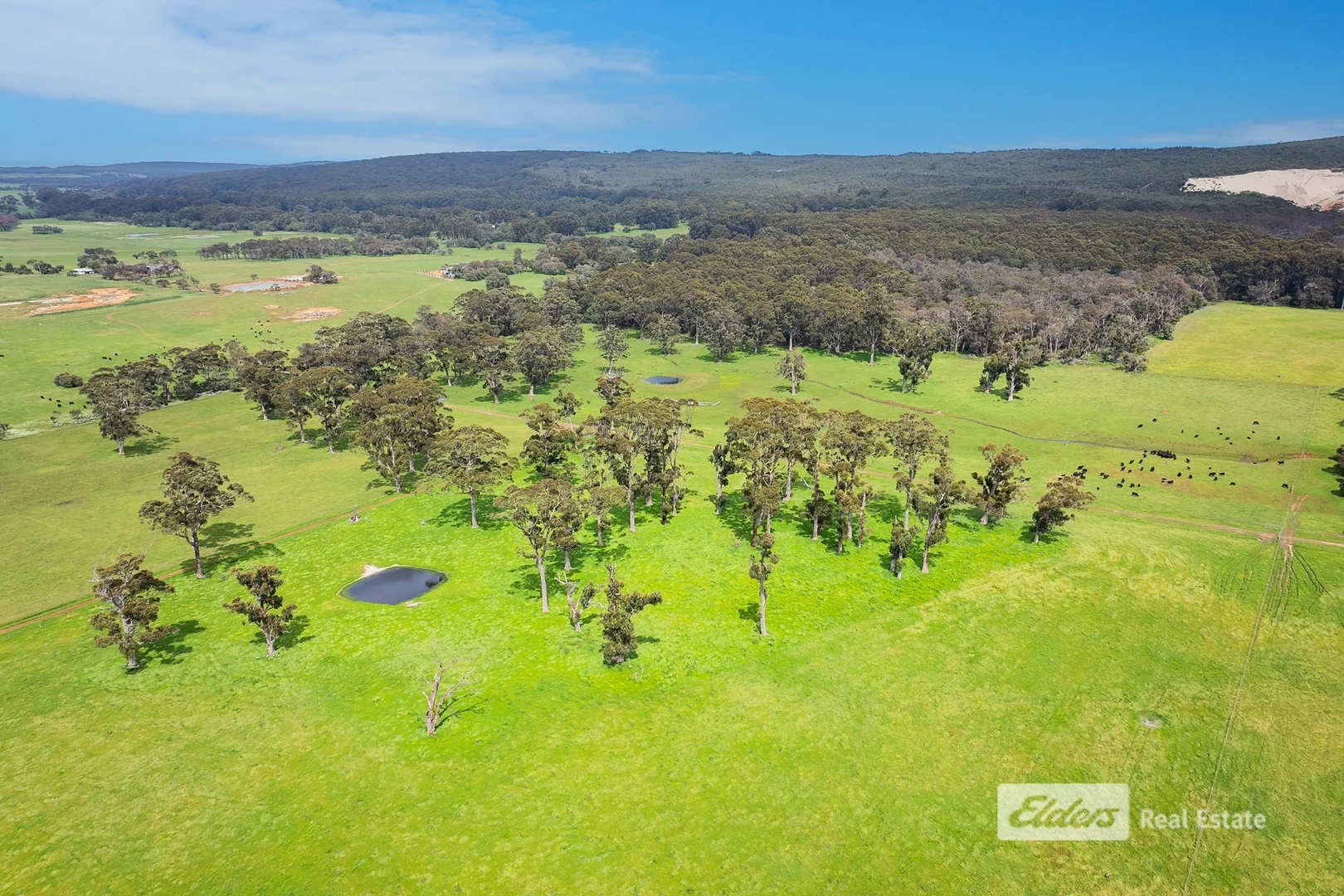 Additional image 7 of 23 Bussell Highway, Karridale WA 6288