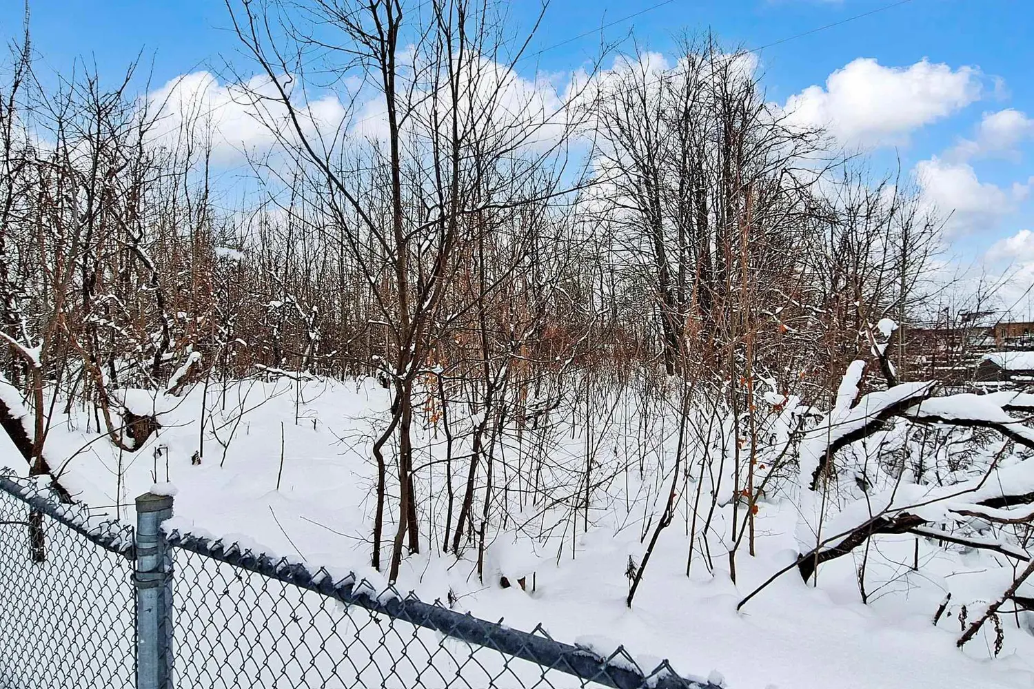 Additional image 15 of 19 Thrushwood Drive