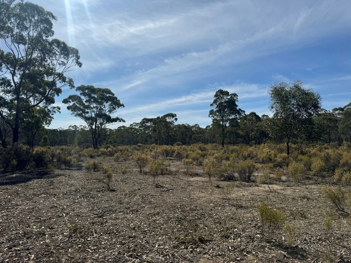 Additional image 5 of 20 Mullins Road, Talbot VIC 3371