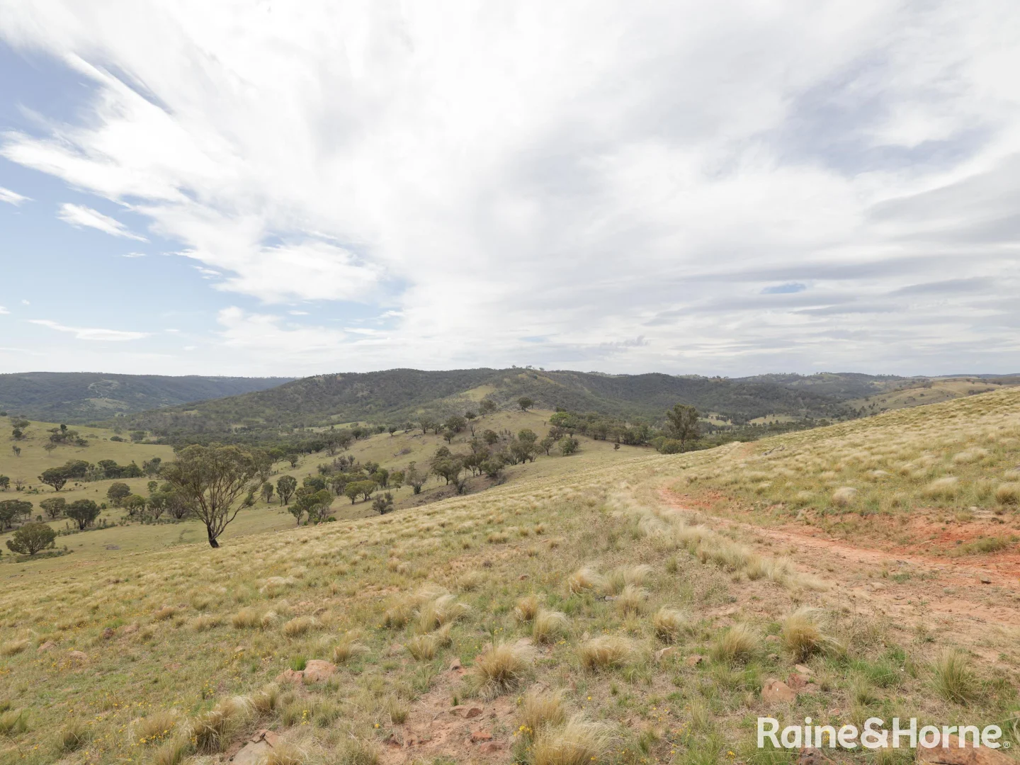 Additional image 21 of 260 & 262 Alpha Road, Tambaroora NSW 2850