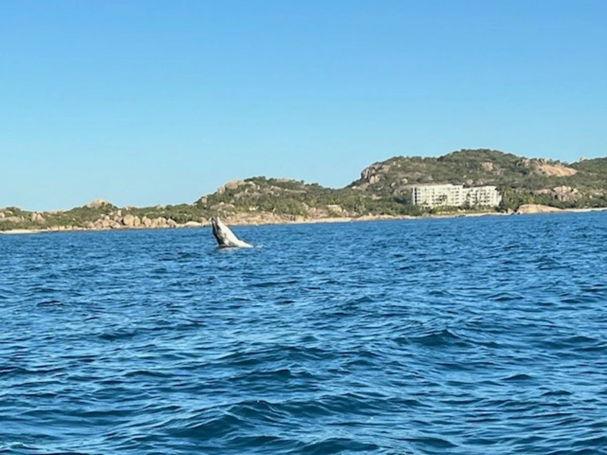 Additional image 7 of 5/2B Horseshoe Bay Road, Bowen QLD 4805