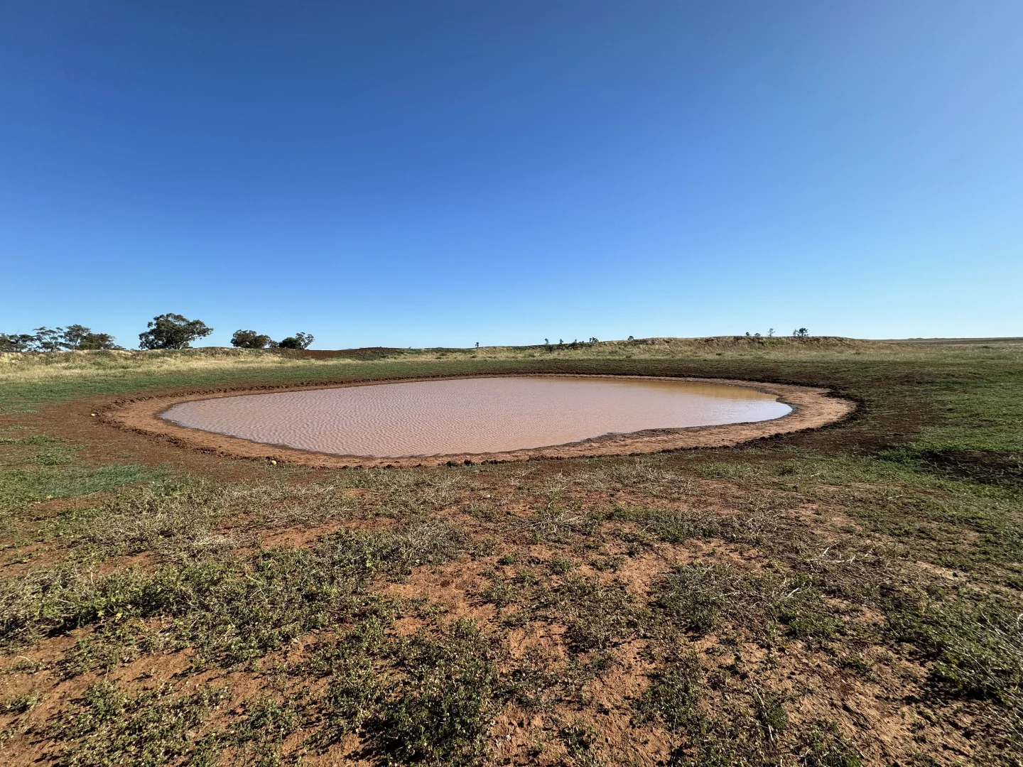 Additional image 21 of 'Boree Glen' 456 Whymarks Lane, Tullibigeal NSW 2669