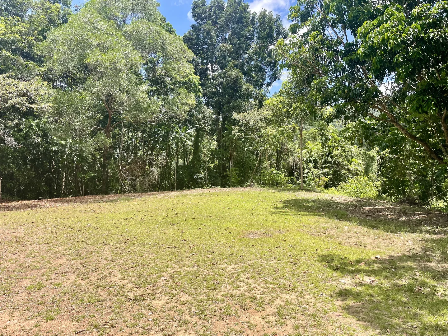 Additional image 10 of 2869 Mossman Daintree Road, Lower Daintree, Daintree QLD 4873