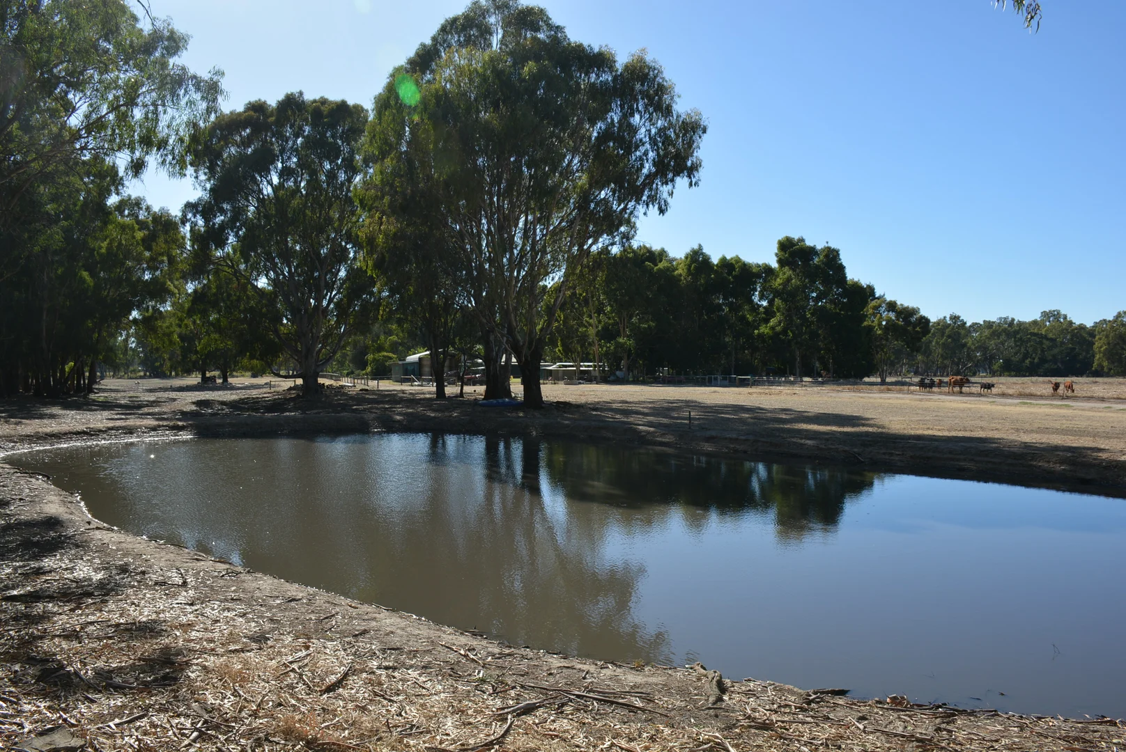 Additional image 19 of 52 Sheehan Rd, Koonoomoo VIC 3644