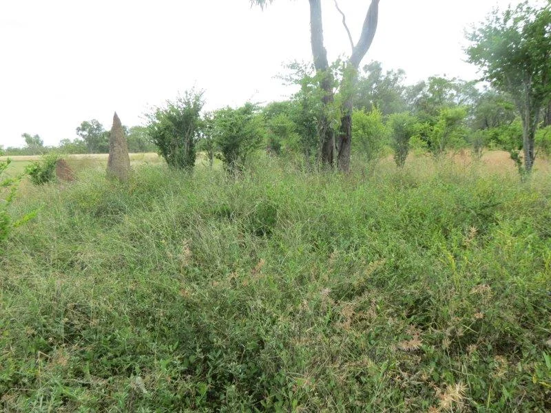 Additional image 39 of Van Lee Station, Mount Surprise QLD 4871