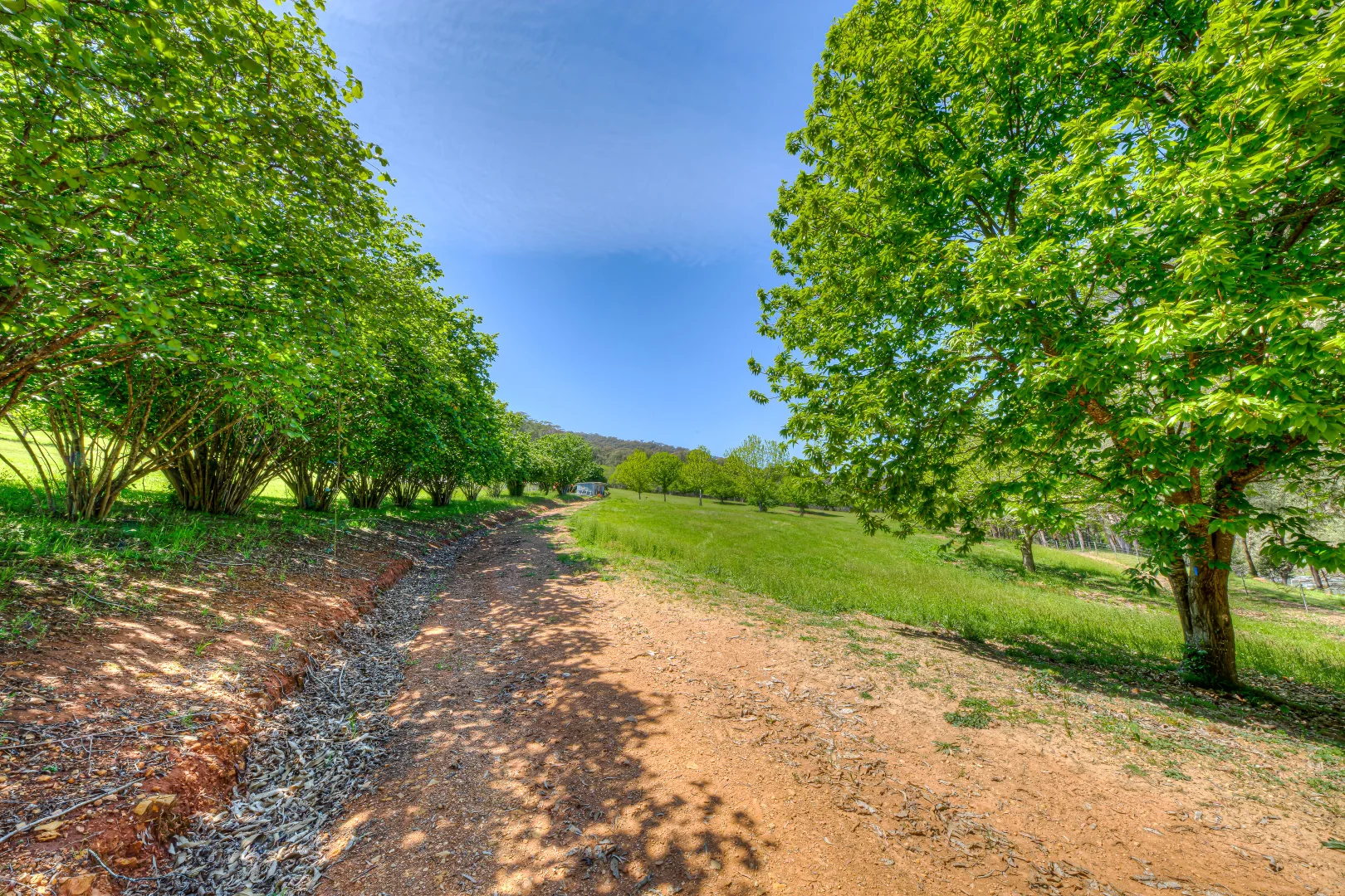 Additional image 7 of CA 34C Tobias Track, Wandiligong VIC 3744