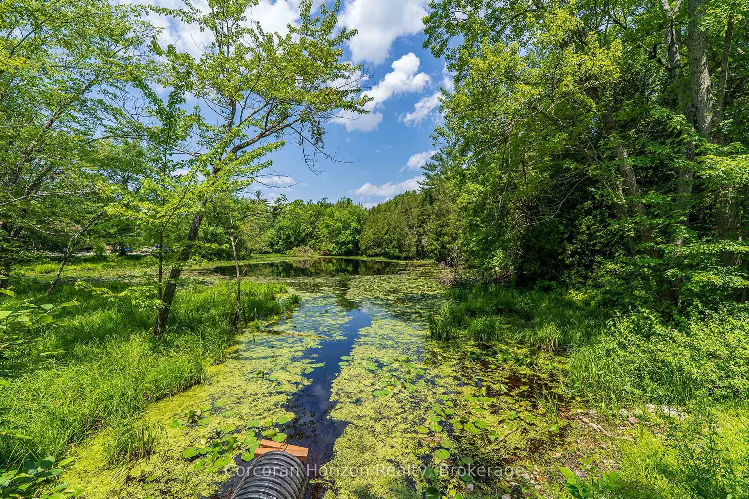 Additional image 19 of 1068 Hartley Road