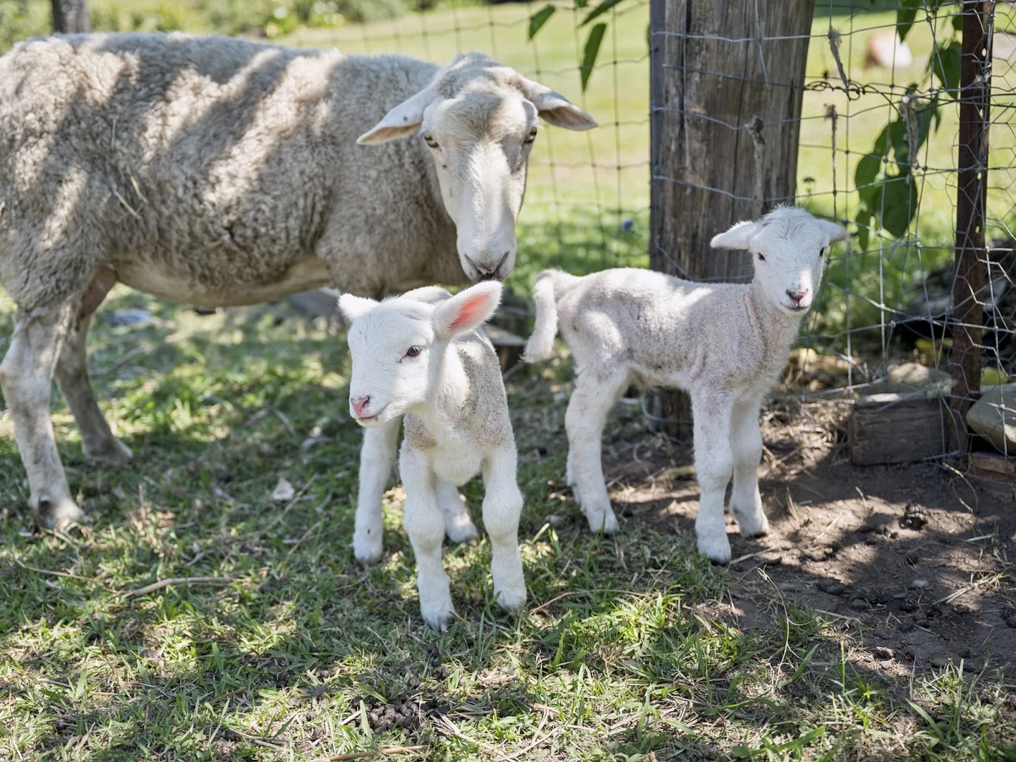 Additional image 19 of 43 Wirrimbi Road, Wirrimbi NSW 2447