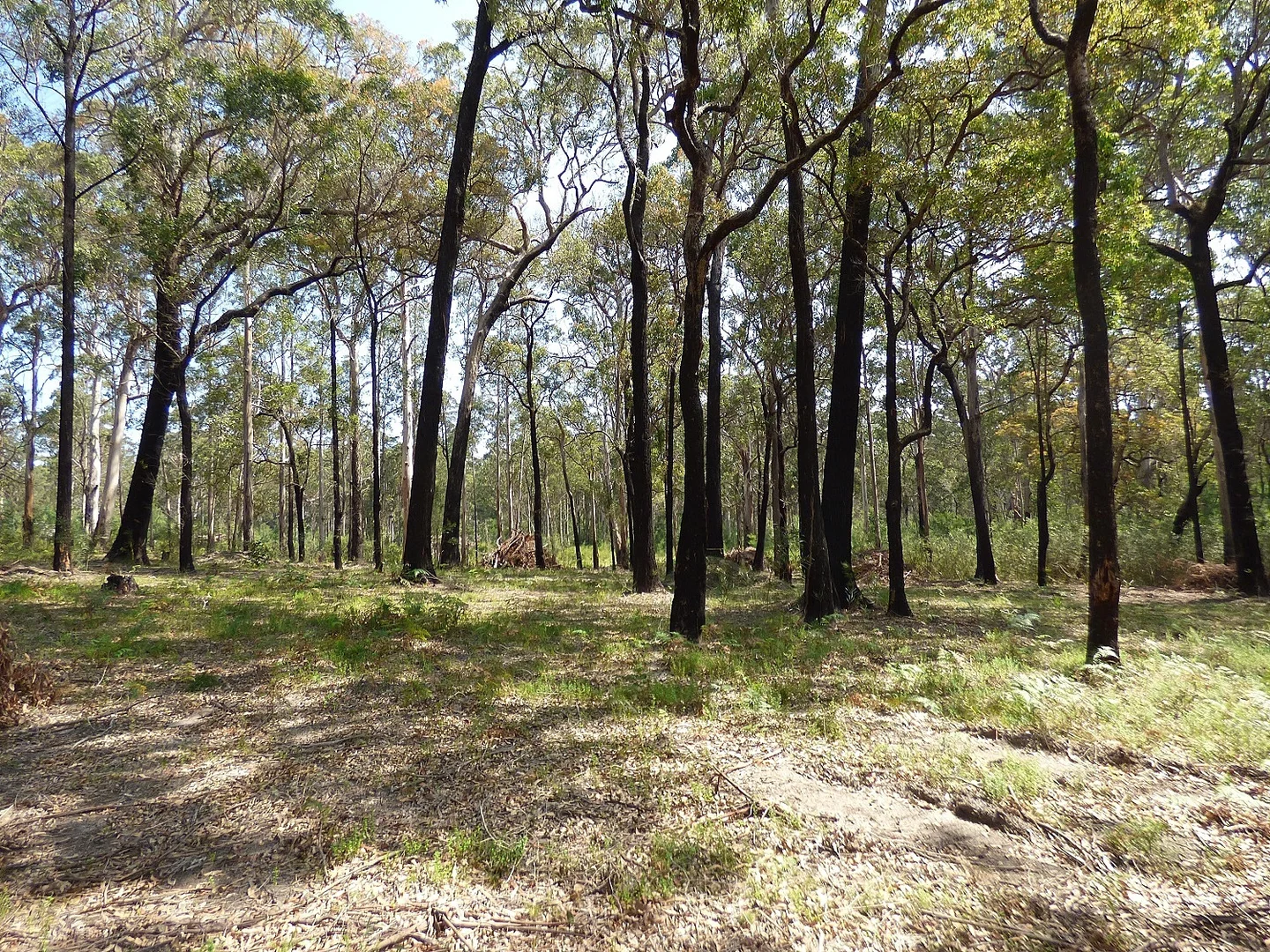 Additional image 9 of 72 Wonboyn Road, WONBOYN Via, Eden NSW 2551