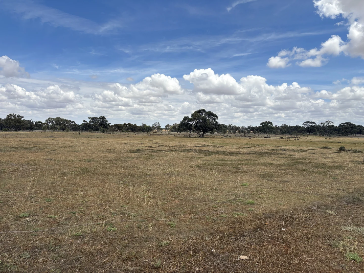 Additional image 2 of SOUTH STREET, Donald VIC 3480