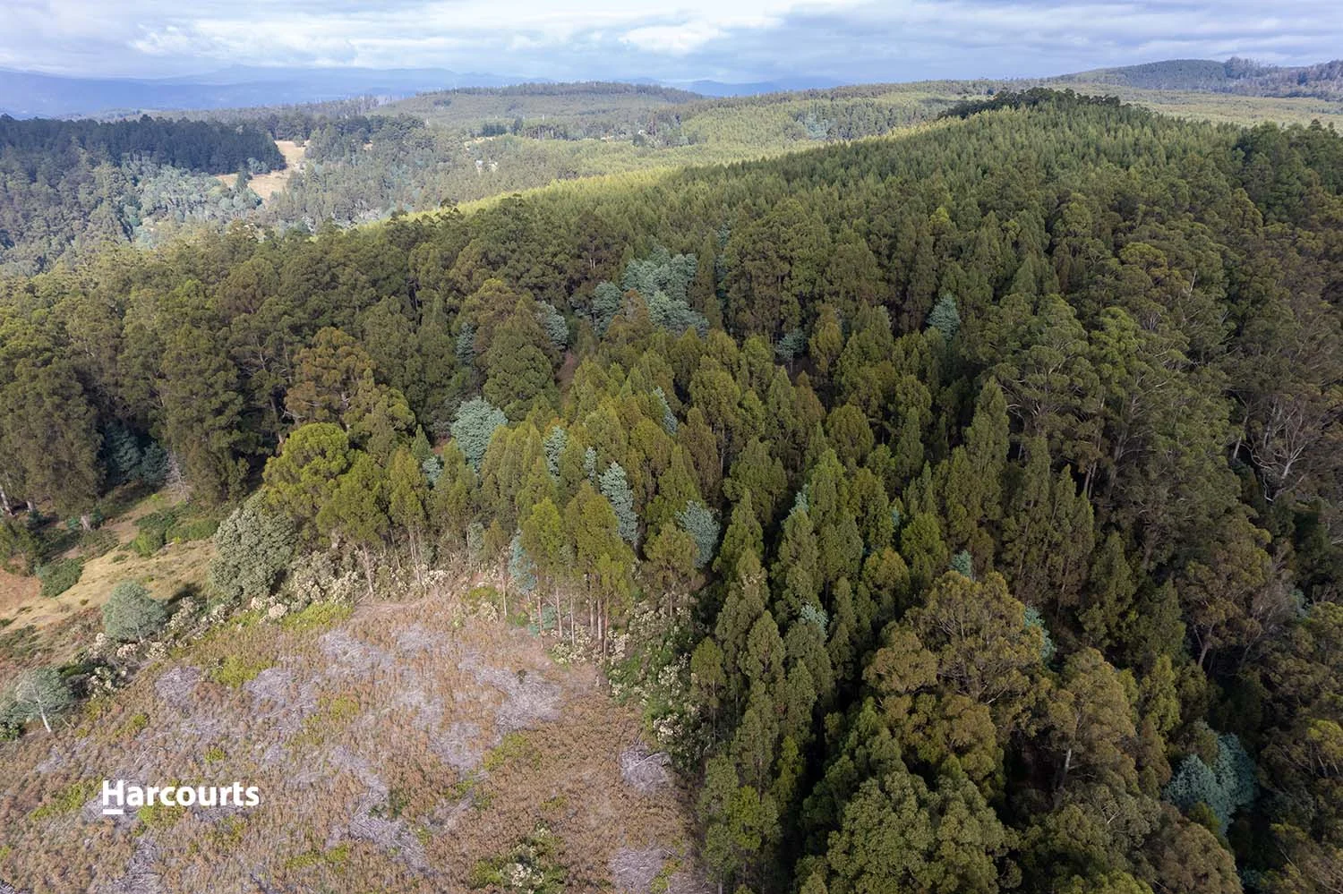 Additional image 7 of Lot 10 Paddys Lane, Franklin TAS 7113