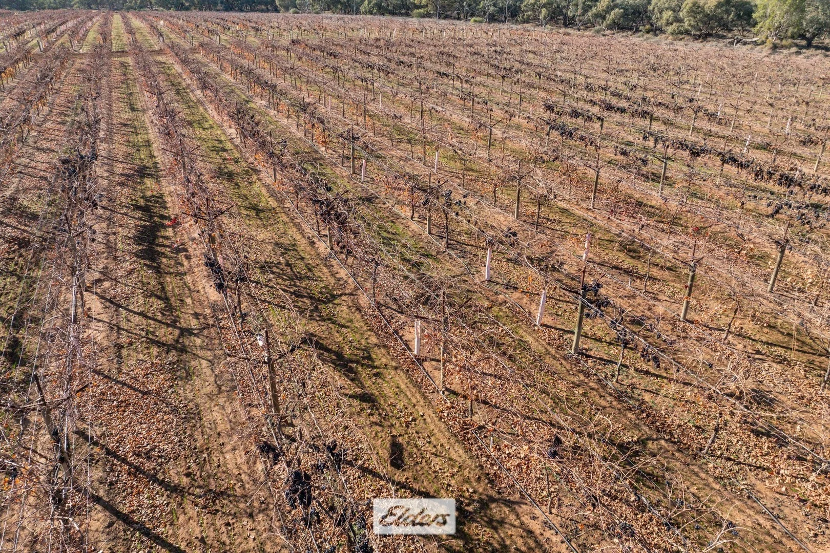 178 Arumpo Road, Mourquong NSW 2739