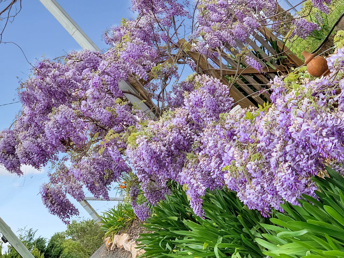 Additional image 22 of 4/54 Cloverdale Road, Tumut NSW 2720