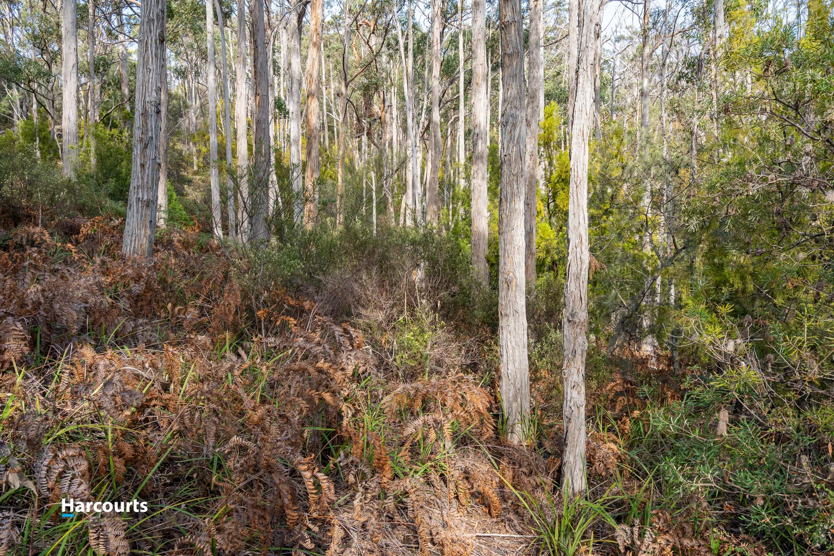 Additional image 10 of 44 Klasen Road, Police Point TAS 7116