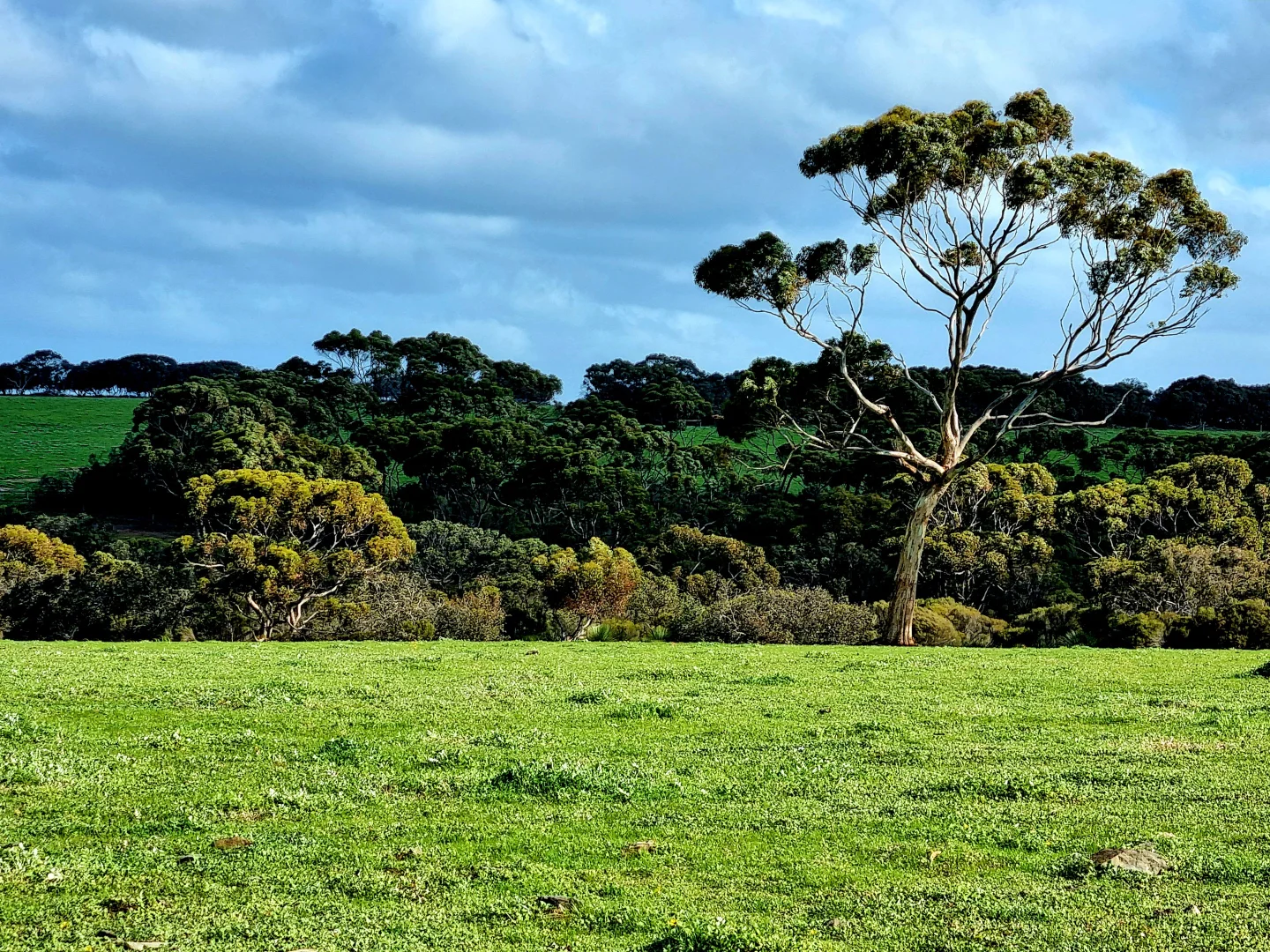 Additional image 3 of 958 Crabbs Road, Newland SA 5223