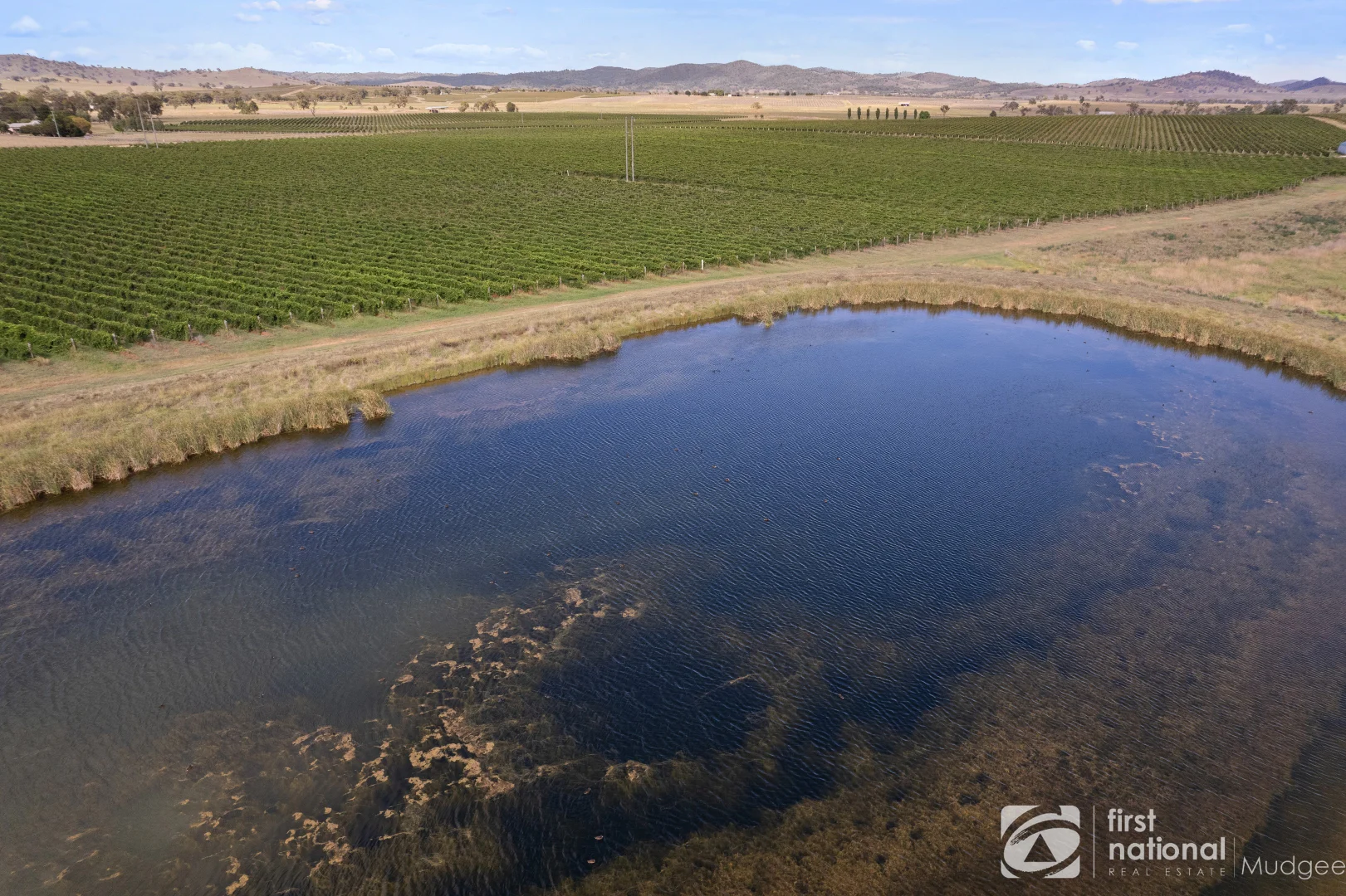 Additional image 8 of 70 Shiraz Drive, Gulgong NSW 2852