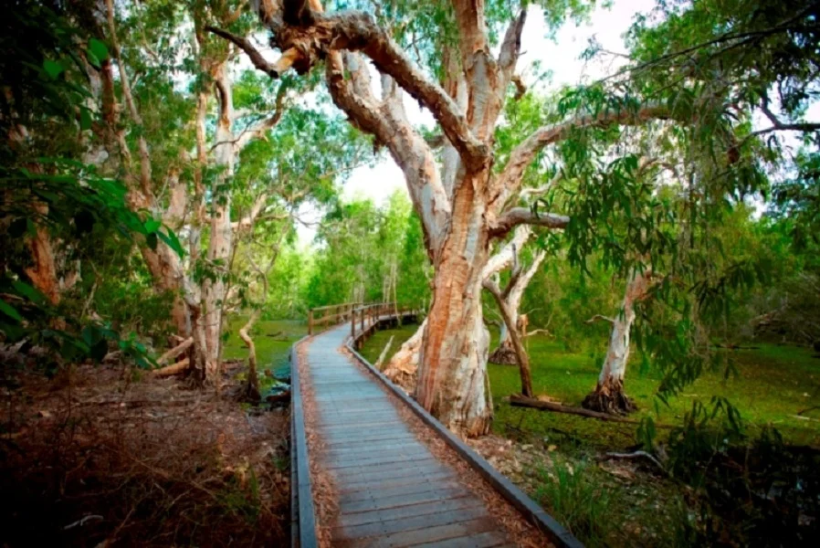 Additional image 25 of 27 Pandanus Dr, Horseshoe Bay QLD 4819