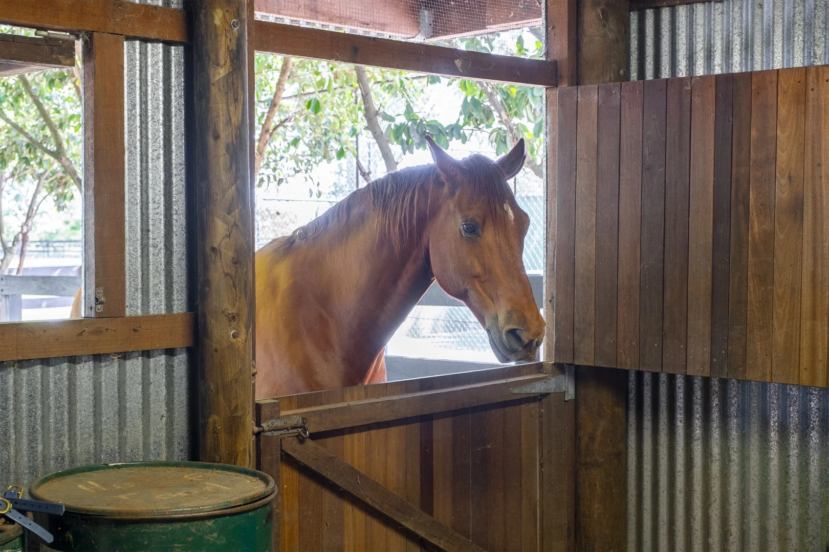 Additional image 26 of 63 Cordners Lane, Cornwallis NSW 2756