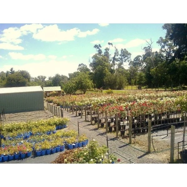 Additional image 14 of 77 HEALESVILLE-KOO WEE RUP, Healesville VIC 3777