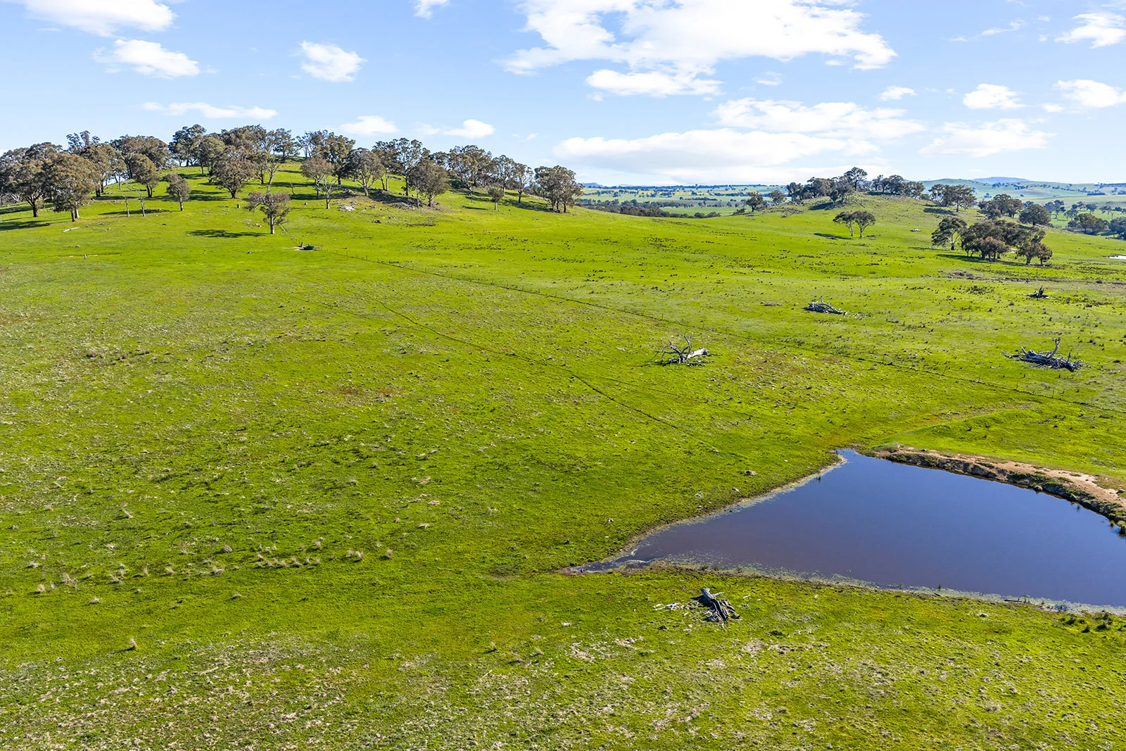 Additional image 12 of 1432 Lachlan Valley Way, Laverstock NSW 2582